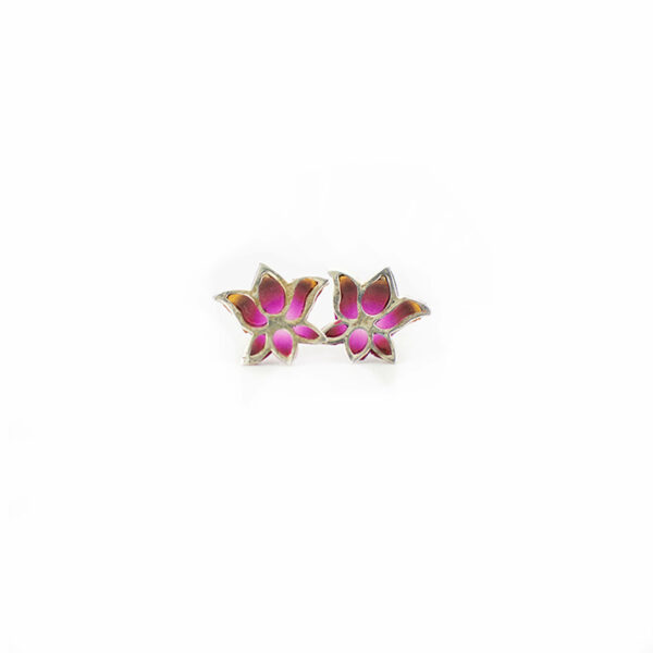 loto rosa