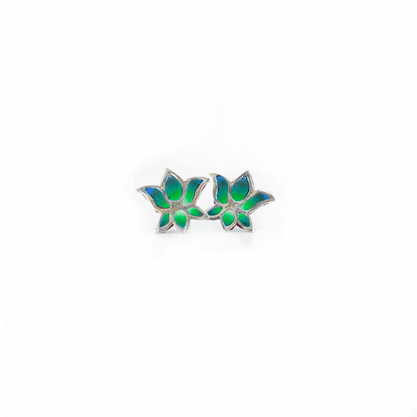 loto verde