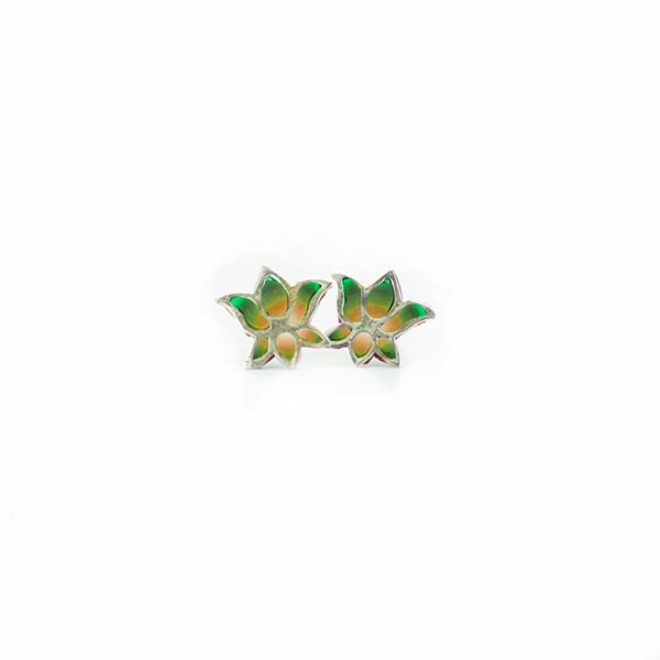 loto verde2